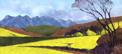 Canola Fields Near Greyton | 2020 | Oil on Canvas | 36 x 51 cm